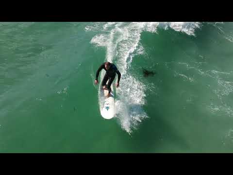 Drone footage of Carmel Beach and surfers