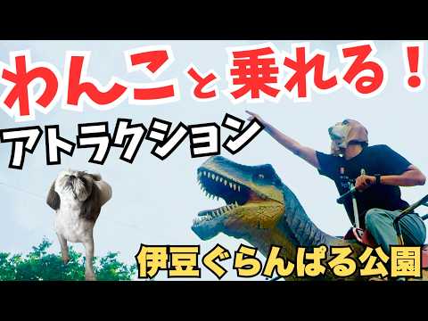 YouTube動画を再生