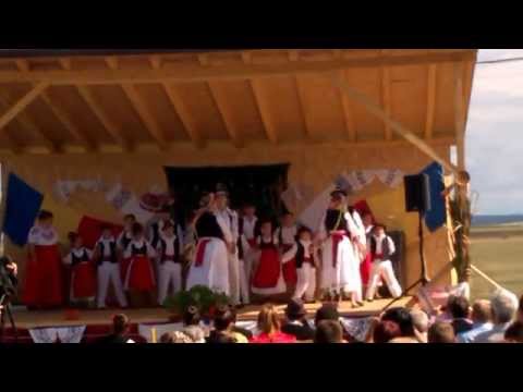 RUGA LA ALUNIS 2015 -BINE ATI VENIT LA RUGA IN ALUNIS - WP 20150906 15 11 22 Pro