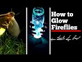 jugnu may light akhir kaha sy ATI hy? how to Glow Fireflies