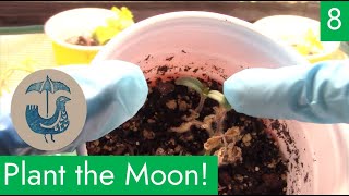 Plant the Moon with Team Rainbird! EP 8