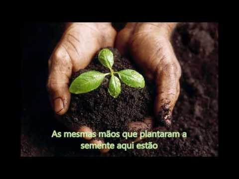 As Mesmas Mãos Que Plantaram As Sementes - Ministerio Gratia Plena