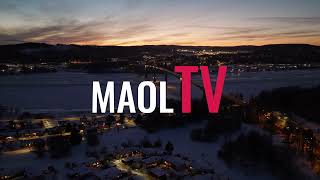 Alnöbron i skymning