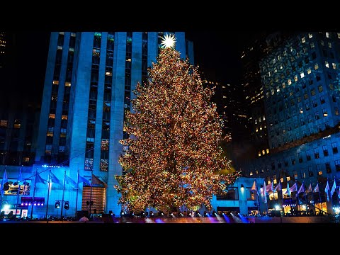 Cops Prepare for Protest at New York Christmas Tree Lighting