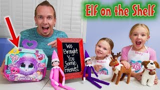 Elf on the Shelf! Elf Pets and Scruff a Luvs Toy Rescue!!!