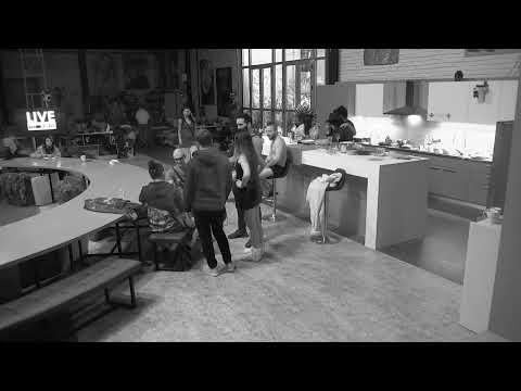 ACA I MILIC GOVORE DA SU PED*FILI - 24.11.2022. - INSTA TV