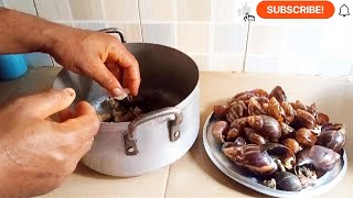How To Clean Snails (Remove Shell and Slime) Very Fast and Easily