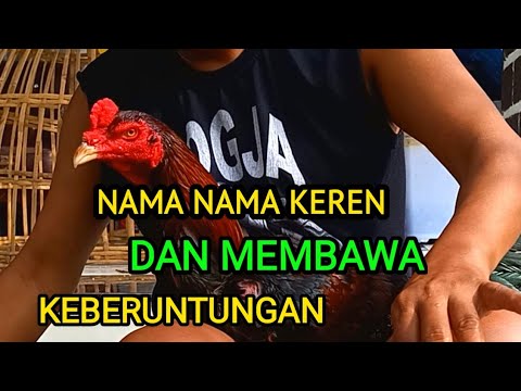, title : 'Nama Nama Keren Seekor Ay3m Yang Membawa Keberuntungan'