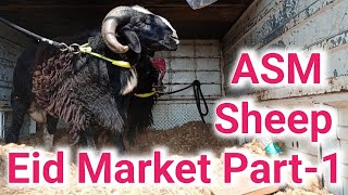 Episode -127 | ASM Amingad Sheep market, Eid Special Part-1, 10th May 2025, Karnataka, India 🇮🇳