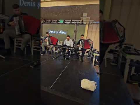 Laurentiu Pantea, Beny Heredea, Narcis Velescu - Instrumental Live