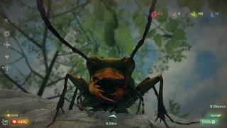 Insect Worlds Exploring As An Insect