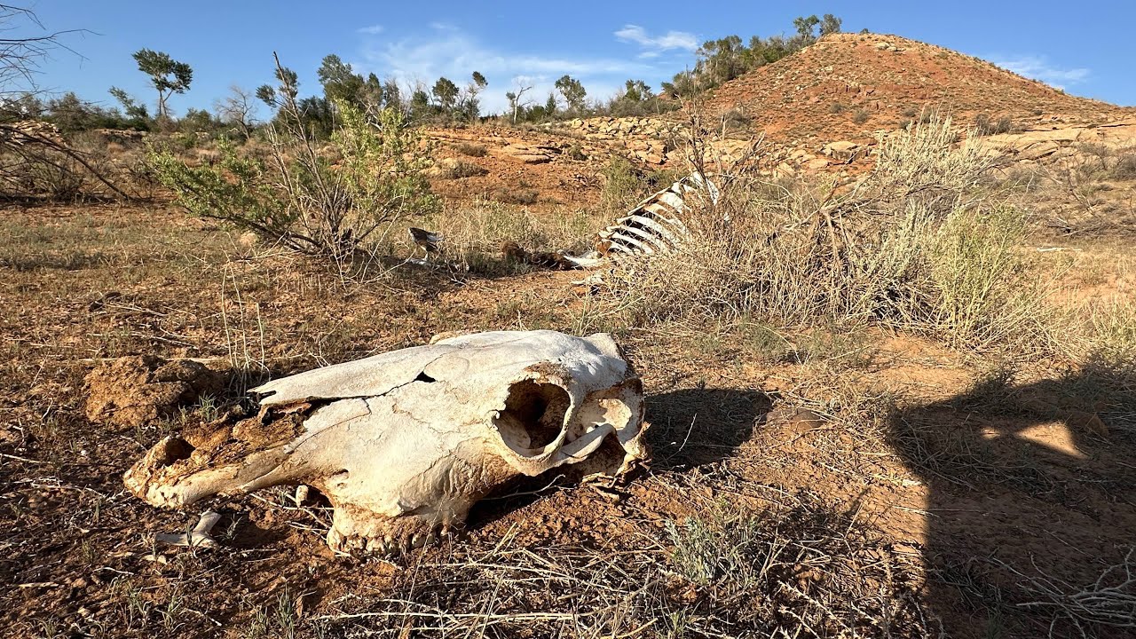 Thumbnail Download HD Thumbnail (1280x720)