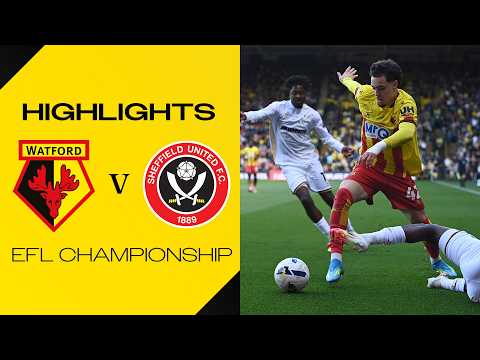 bg-highlight