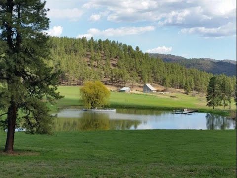 The Wells Group - Beautiful 243 acre RANCH in Southwest Colorado near Durango