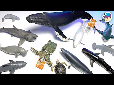 NEW SEA ANIMALS - Humpback Whale, Basking Shark, Great White Shark, Dugong, Sea Turtle, White Whale