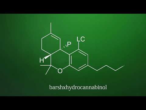 PLC x barshxhq - Canabis