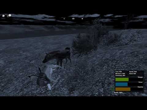 Hunting female impala as a Spotted hyena ROBLOX Testing A