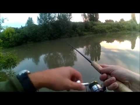 Spinning Catfish,June 2015