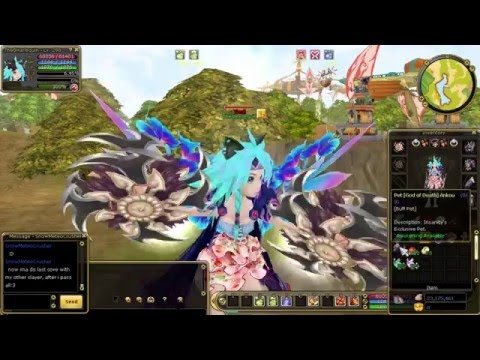 Insanity Flyff GUIDE - How to get awesome equipment with little money