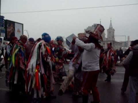 Capra de la bacau Beresti tazlau