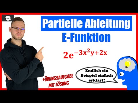 Partiell ableiten e Funktion Beispiel