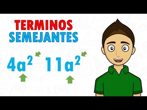 SIMILAR TERMS Super easy - For beginners