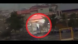During Japan Tsunami a strange creature was caught on camera - real footage