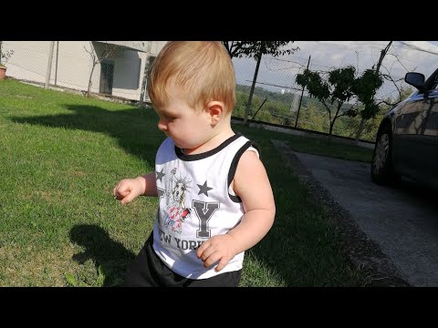 A quello che il verme bianco sogna Come definire parassiti a un pappagallo