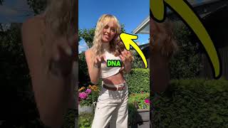 Estonians Are NOT Like Finns