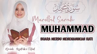 Download lagu Sungguh Merdu 😭 Murottal Surah Muhammad - Kuntriksi Ellail mp3