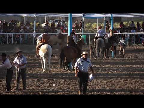 "XXXI Fiesta Provincial del Chacarero y Hombre de Campo"