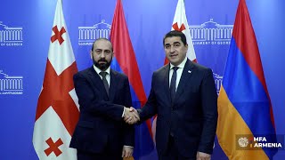 Meeting of the Foreign Minister of Armenia with the Speaker of the Parliament of Georgia