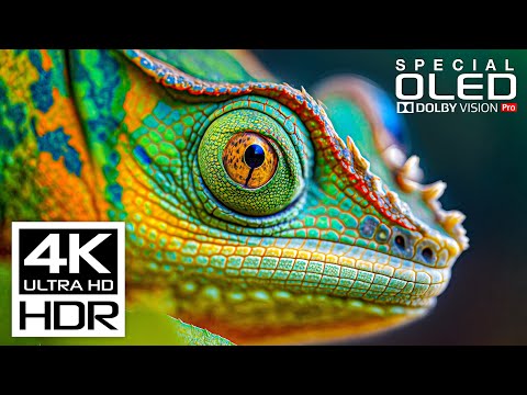 Most Stunning HDR Video 4K ULTRA HD | Dolby Vision HDR 4K 60 fps