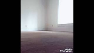 Fat Trel- Free Issa @LUH LITTY