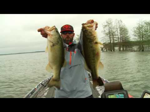 Big Bass Secret Baits - Punchshot & Jika Rig