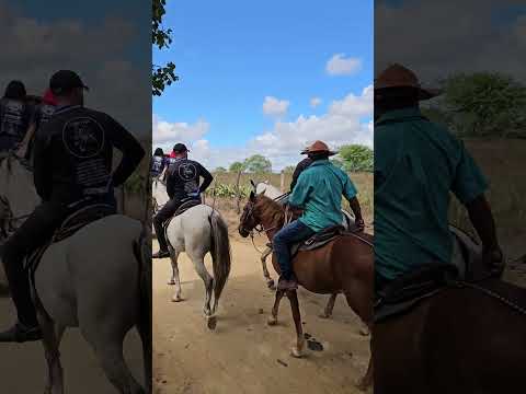 Festa do Carro de Boi no Sítio Lagoa das Craíbas   Igaci, Alagoas 27/09/ 2026  ERIEL OFICIAL 🎥