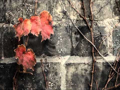 Lenny Valentino - Trujace Kwiaty