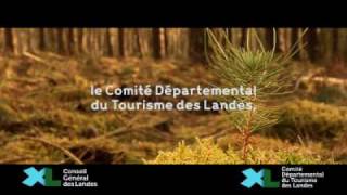 preview picture of video 'La Forêt des Landes'