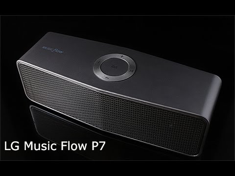 רמקול נייד LG NP7550 תמונה 2