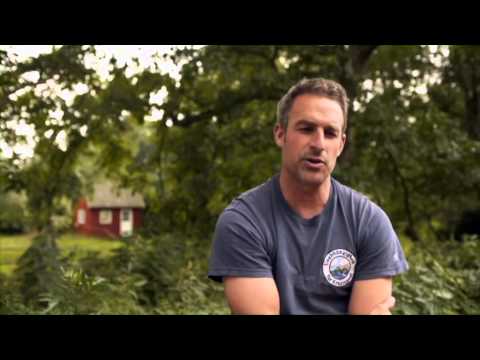 Die Elbe von Oben - Jonas Kötz Krautsand