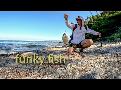 Ψαρεμα σαργού και μάζεμα κρίταμου εκεί που δεν φτάνει...