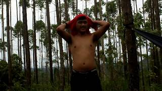 preview picture of video 'Jalan-jalan Hutan HTI'