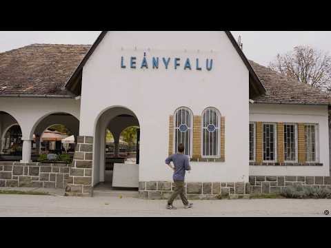 Why did I move from New York to a Hungarian village?