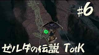 【ゼルダの伝説 ティアーズオブザキングダム】地上絵巡り・前編　【６】