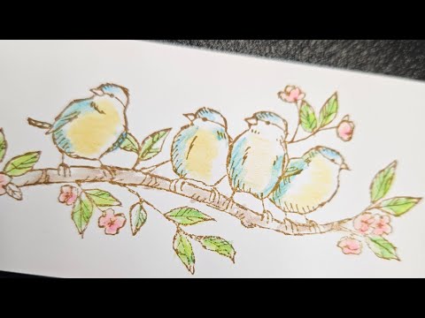 Watercolour Pencil colouring technique.