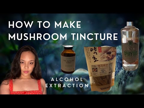 How to Make Mushroom Tincture