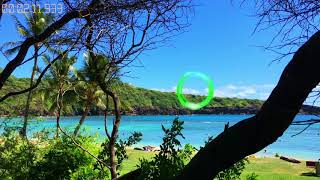 The Chainsmokers - Roses (Mitchell Clinkenbeard Remix, The Tropical mix)