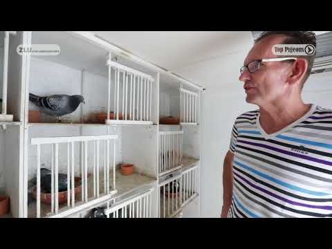 Nationale winnaars ZLU 2017 Barcelona Leon Roks