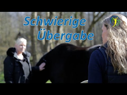 Schwierige Übergabe für Pferdetrainerin - Was wird Finleys Besitzerin zum Befund sagen?