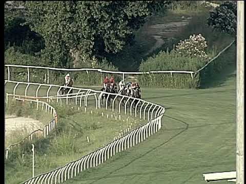 Galoppo 07/08/2019 - 2ª corsa